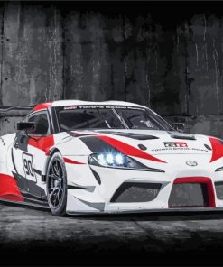 Toyota GR Supra GT4 Car paint by numbers