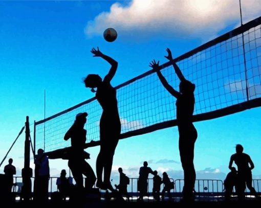 Volleyball Players Silhouettes paint by numbers