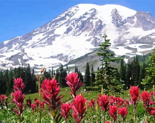 Mountain Rainier paint by numbers