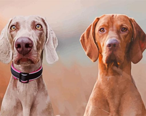 Two Weimaraner Dogs paint by numbers