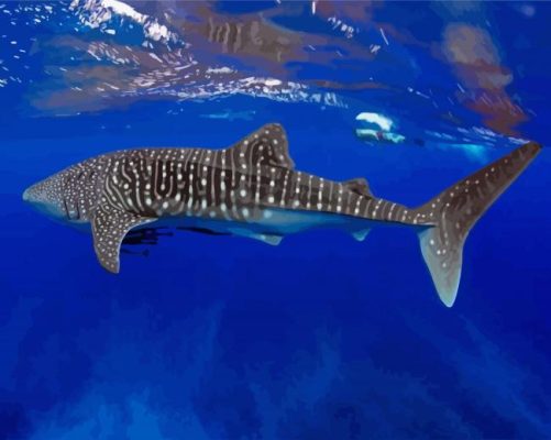 Aesthetic Whale Shark Undersea paint by numbers