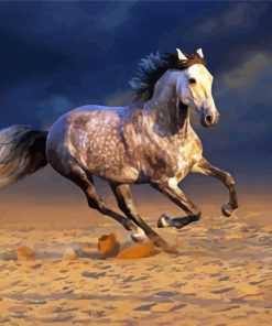 Andalusian Horse In The Desert paint by numbers