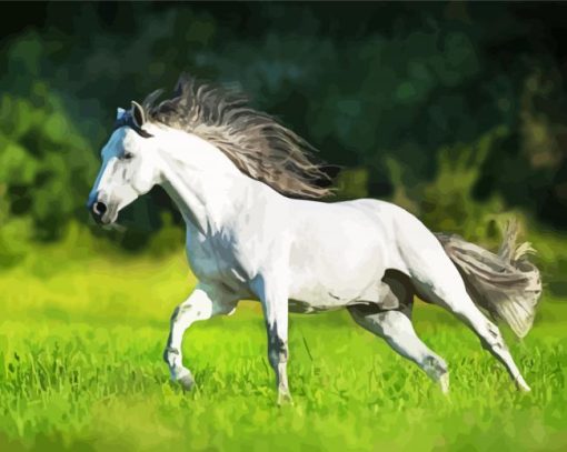 White Andalusian Horse Running paint by n umbers