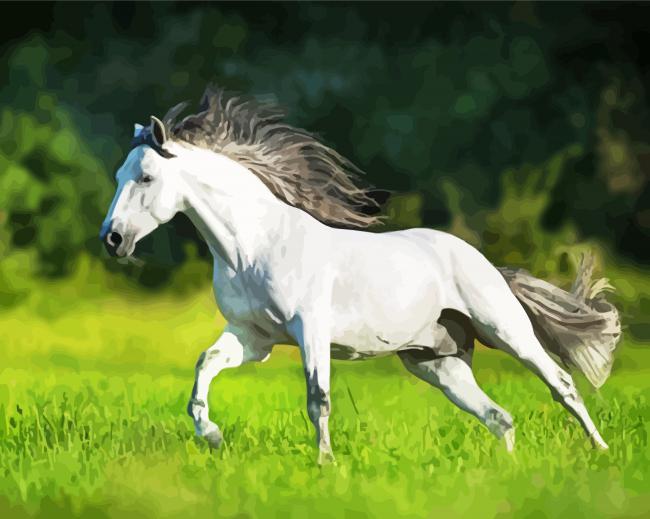 White Andalusian Horse Running paint by n umbers