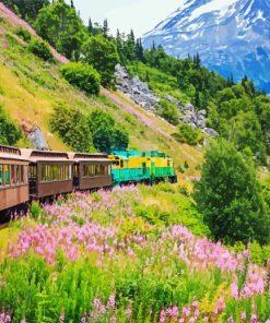 White Pass & Yukon Route Railway paint by numbers