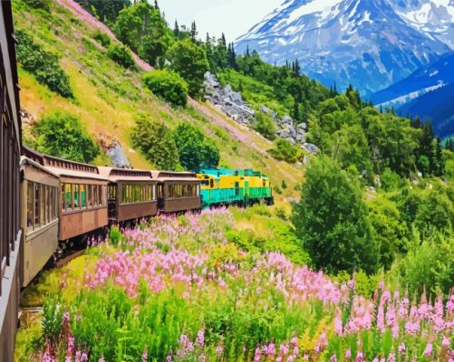 White Pass & Yukon Route Railway paint by numbers