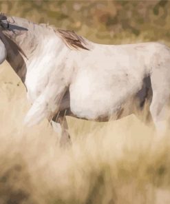 White Brumby Horse paint by numbers