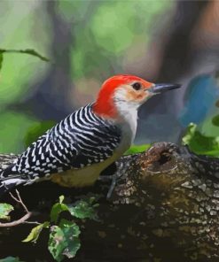 Woodpecker Bird On Tree paint by numbers