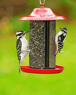Woodpeckers Birds paint by numbers