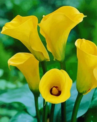Yellow Calla Lilies Flowers paint by numbers
