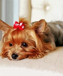 Yorkie Dog With Accessory paint by numbers