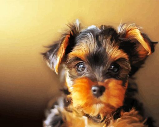 Adorable Yorkshire Terrier Dog paint by numbers