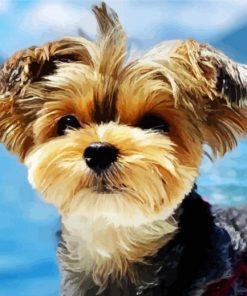 Cute Yorkshire Terrier paint by numbers