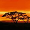 Acacia Tree At Sunset paint by numbers