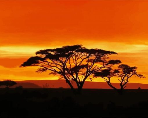 Acacia Tree At Sunset paint by numbers