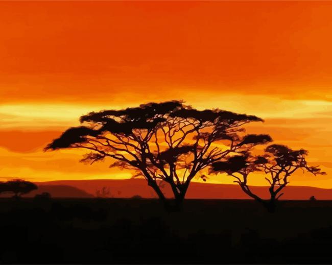 Acacia Tree At Sunset paint by numbers