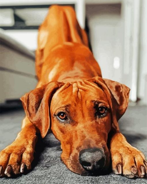 Adorable Ridgeback paint by numbers