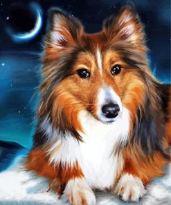 Adorable Sheltie Dog paint by numbers