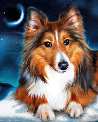 Adorable Sheltie Dog paint by numbers