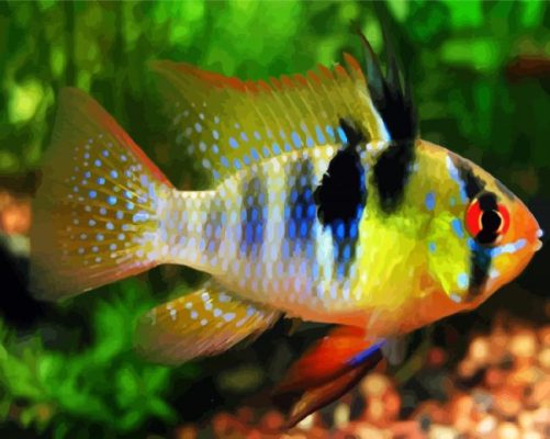 Aesthetic Fish paint by numbers