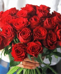 Wonderful Bouquet Of Red Rose paint byb numbers