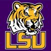 LSU American Football Logo paint by numbers