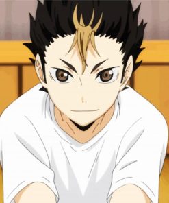 Yu Nishinoya Character paint by numbers