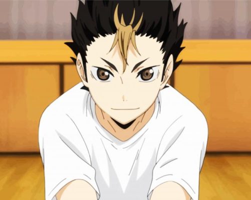 Yu Nishinoya Character paint by numbers