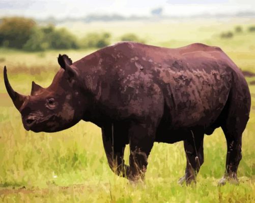 Aesthetic Rhinoceros paint by numbers