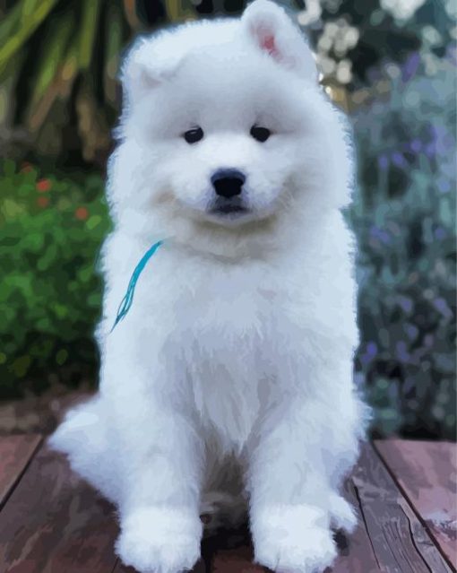 Adorable Samoyed Dog paint by numbers