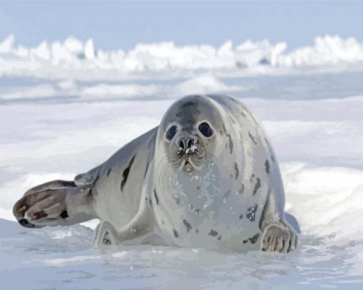 Aesthetic Seal Animal paint by numbers