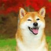 Adorable Shiba Inu paint by numbers