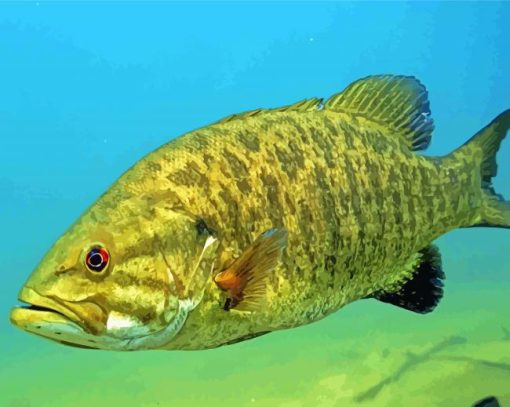 Aesthetic Smallmouth Fish paint by numbers