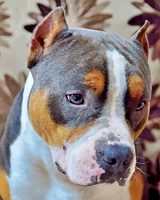 Cute Staffordshire Bull Terrier paint by numbers