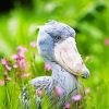 Aesthetic Stork paint by numbers