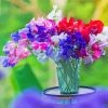 Beautiful Sweetpea Flowers paint by numbers