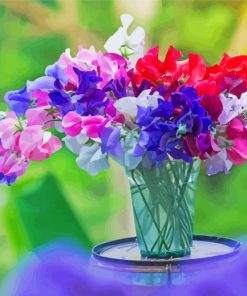 Beautiful Sweetpea Flowers paint by numbers