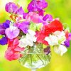 Colorful Sweetpea Flowers paint by numbers