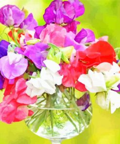 Colorful Sweetpea Flowers paint by numbers