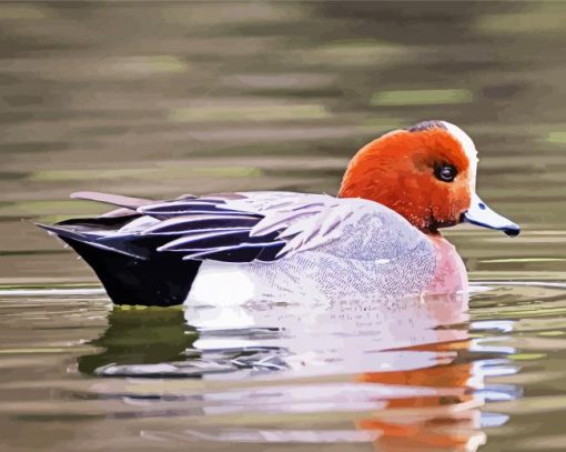 Aesthetic Wigeon Bird paint by numbers