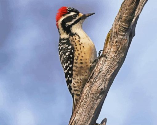 Woodpeckers Bird On Stick paint by numbers