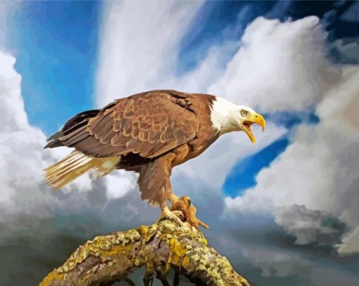 Wild Bald Eagle paint byb numbers
