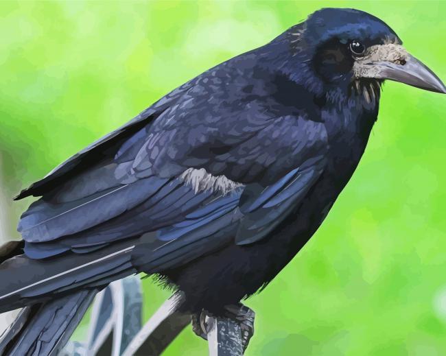 Aesthetic Black Rook Bird paint by numbers