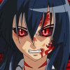 Angry Akame Character paint by numbers