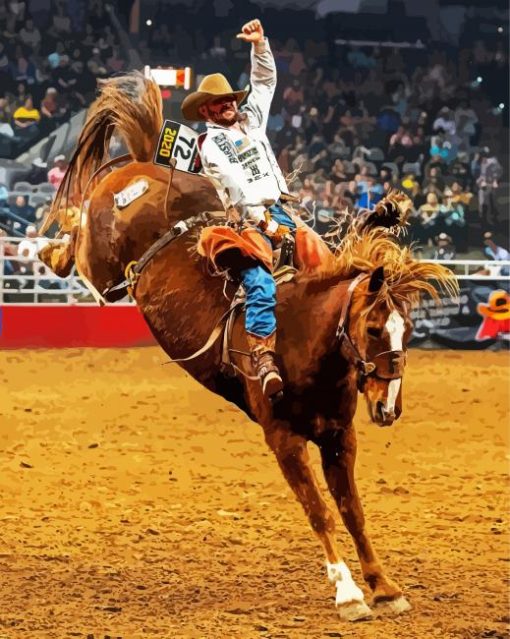 Aesthetic Rodeo paint by numbers