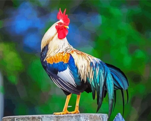 Aesthetic Bird Rooster paint by numbers