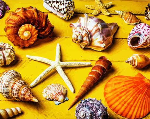 Aesthetic Seashell paint by numbers