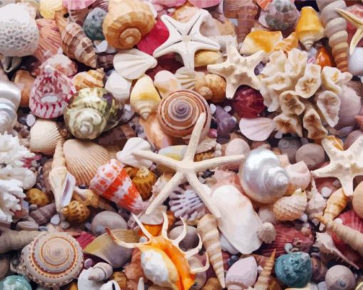 Beautiful Seashells paint by numbers