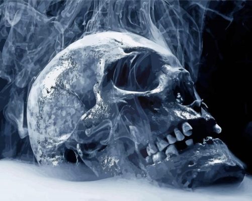 Aesthetic Skull Smoke paint by numbers
