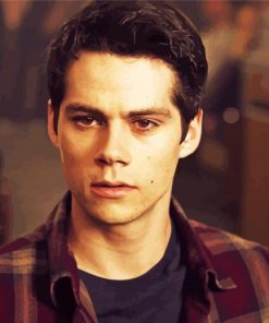 Stiles Stilinski Character paint by numbers